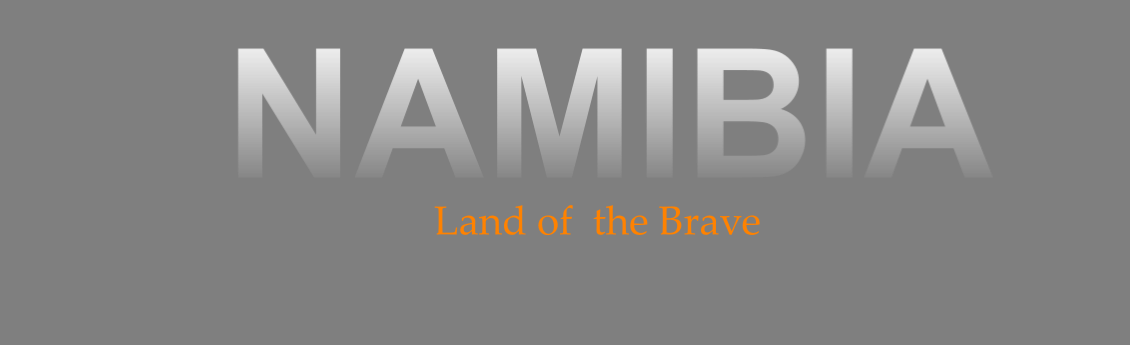 Land of  the Brave